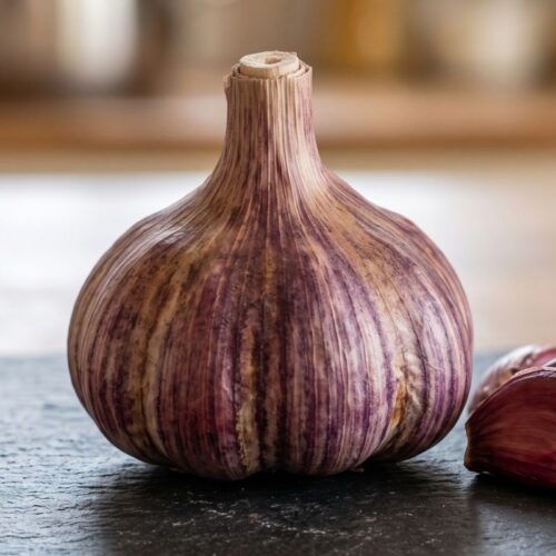 Spanish Solace Garlic (Whole Bulb)